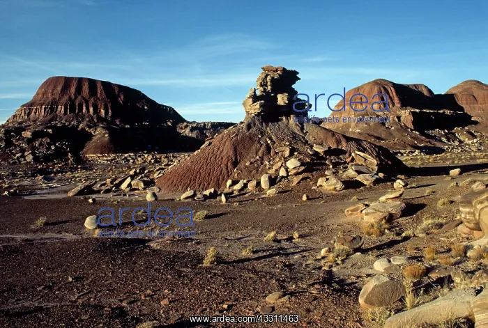: 80184175 Monument Valley Red Rock Country, Arizona : 80184175 Monument Valley Red Rock Country, Arizona