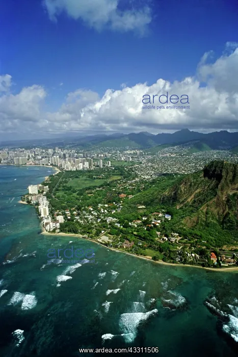 : 80184180 Waikiki - aerial view Honolulu Agenzia : 80184180 Waikiki - aerial view Honolulu Agenzia
