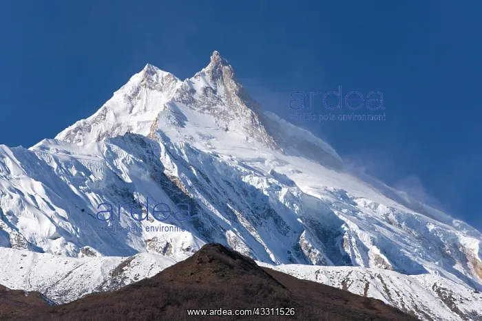 : 80184184 Manaslu Mountain Nepal, Himalaya Agenzia : 80184184 Manaslu Mountain Nepal, Himalaya Agenzia