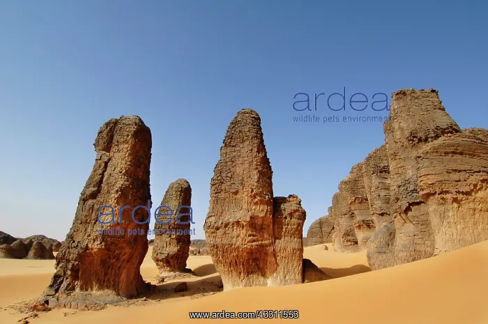 : 80184189 Tin Rerhor Sahara, Algeria Agenzia Giornalistica : 80184189 Tin Rerhor Sahara, Algeria Agenzia Giornalistica