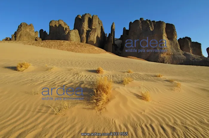 : 80184190 Rock Formation - Tin Akscheker Sahara : 80184190 Rock Formation - Tin Akscheker Sahara