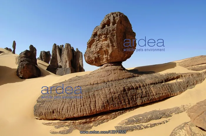 : 80184191 Rock Formation - Tin Akscheker Sahara : 80184191 Rock Formation - Tin Akscheker Sahara