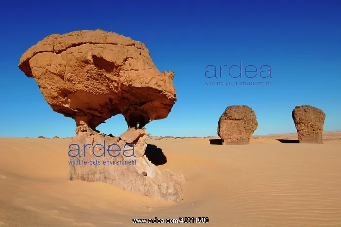 : 80184194 Rock Formations - Chambre Sahara, Algeria : 80184194 Rock Formations - Chambre Sahara, Algeria