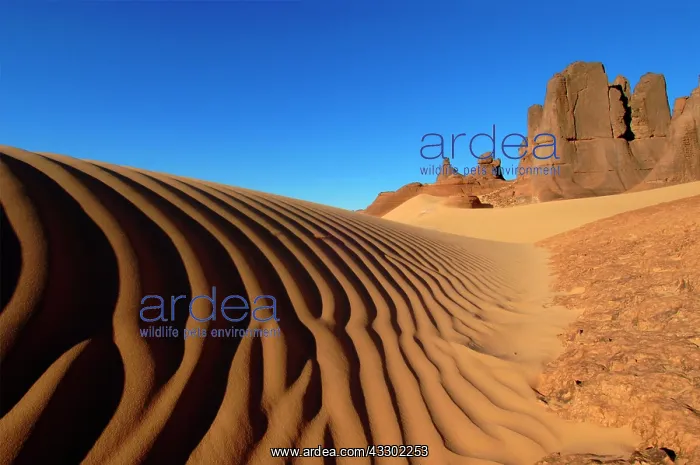 : 80184197 Rock Formations - Tin Akscheker Sahara : 80184197 Rock Formations - Tin Akscheker Sahara