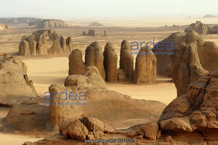 : 80184200 Rock Formations Sahara, Algeria Agenzia
