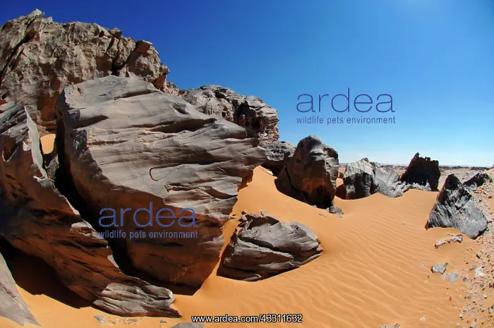 : 80184204 Rock Formations White Desert, Egypt Agenzia : 80184204 Rock Formations White Desert, Egypt Agenzia