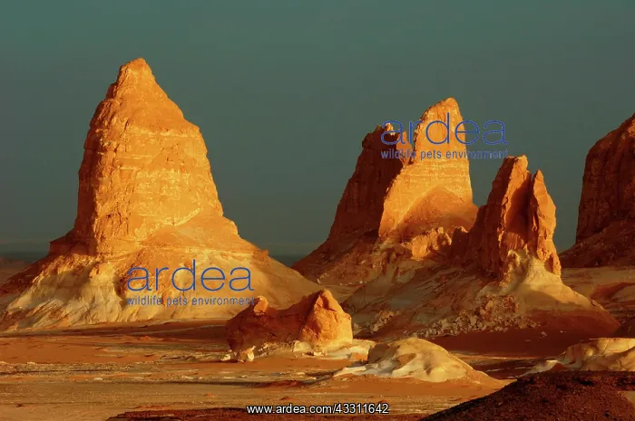 : 80184206 Rock Formations White Desert, Egypt Agenzia : 80184206 Rock Formations White Desert, Egypt Agenzia