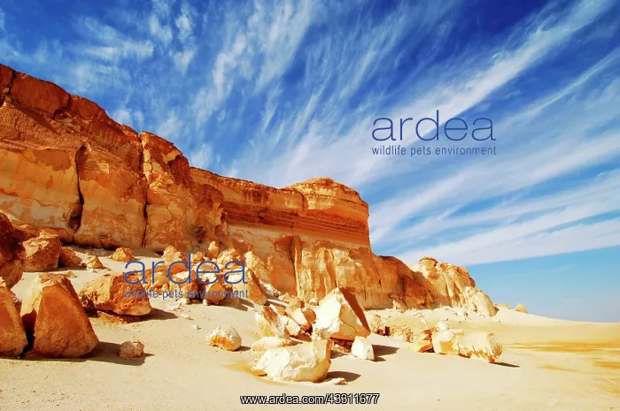 : 80184211 Rock Formations White Desert, Egypt Agenzia : 80184211 Rock Formations White Desert, Egypt Agenzia