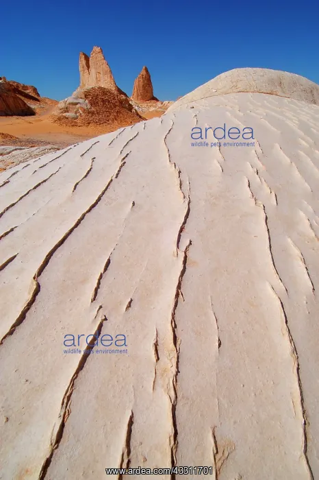 : 80184215 Rock Formations White Desert, Egypt Agenzia : 80184215 Rock Formations White Desert, Egypt Agenzia