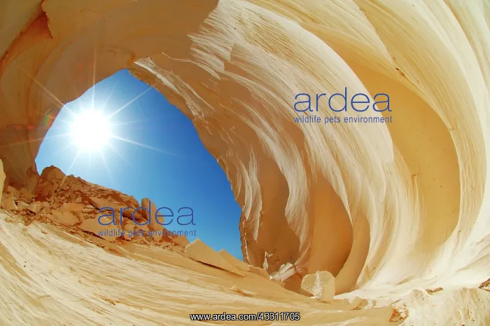 : 80184216 Rock Formations White Desert, Egypt Agenzia : 80184216 Rock Formations White Desert, Egypt Agenzia