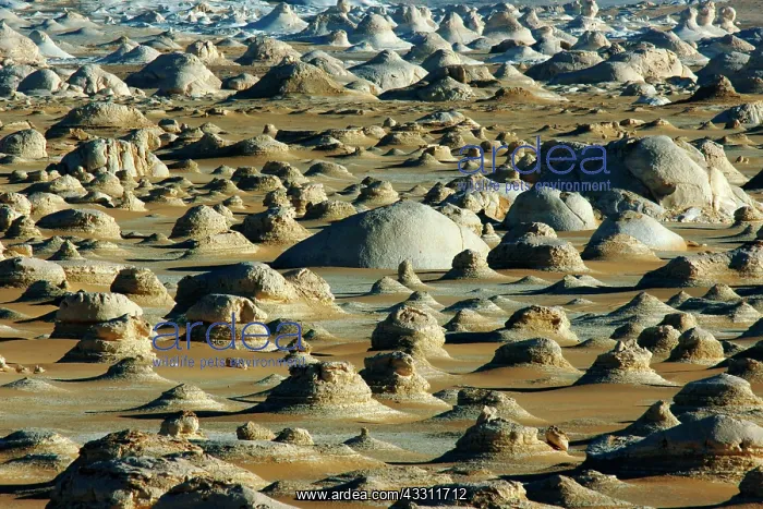 : 80184217 Ball Mountains Egypt Agenzia Giornalistica : 80184217 Ball Mountains Egypt Agenzia Giornalistica