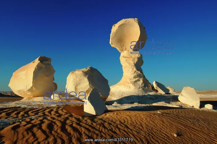 : 80184218 Rock Formations White Desert, Egypt Agenzia : 80184218 Rock Formations White Desert, Egypt Agenzia