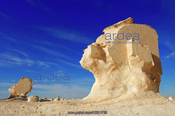 : 80184220 Rock Formations White Desert, Egypt Agenzia : 80184220 Rock Formations White Desert, Egypt Agenzia