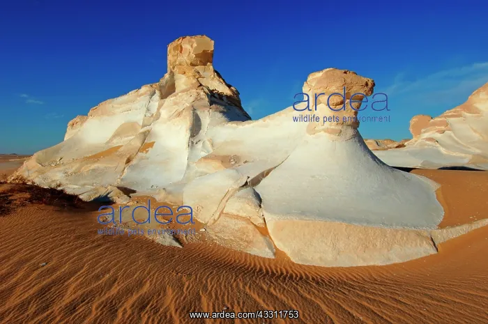 : 80184224 Rock Formations - twin's rock White Desert : 80184224 Rock Formations - twin's rock White Desert