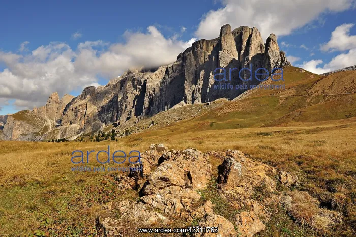 : 80184226 Murfreit - group of peaks and pinnacles : 80184226 Murfreit - group of peaks and pinnacles