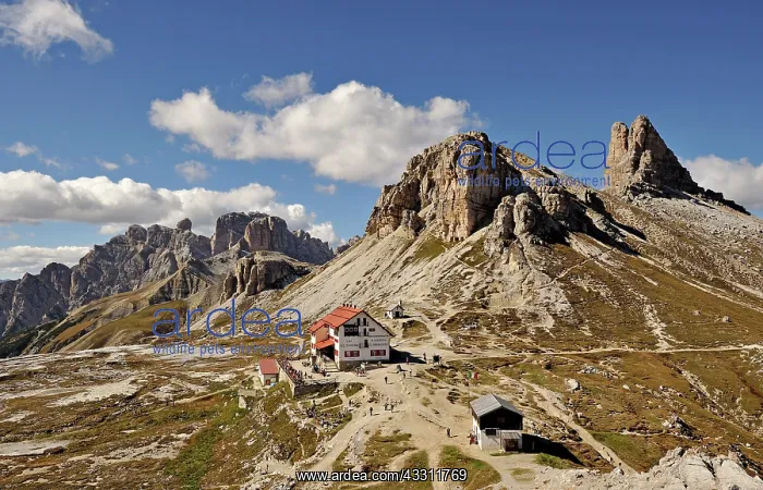 : 80184227 Tre Cime Refuge - with Sasso di Sesto and : 80184227 Tre Cime Refuge - with Sasso di Sesto and