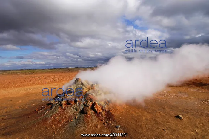 : 80184233 Geothermal Vent / Fumarole - steaming Hverarond : 80184233 Geothermal Vent / Fumarole - steaming Hverarond