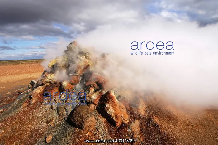 : 80184234 Geothermal Vent / Fumarole - steaming Hverarond : 80184234 Geothermal Vent / Fumarole - steaming Hverarond