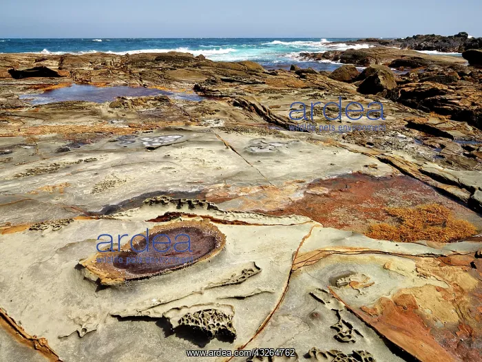 : 80184619 Rock Formation Marengo near Apollo Bay : 80184619 Rock Formation Marengo near Apollo Bay