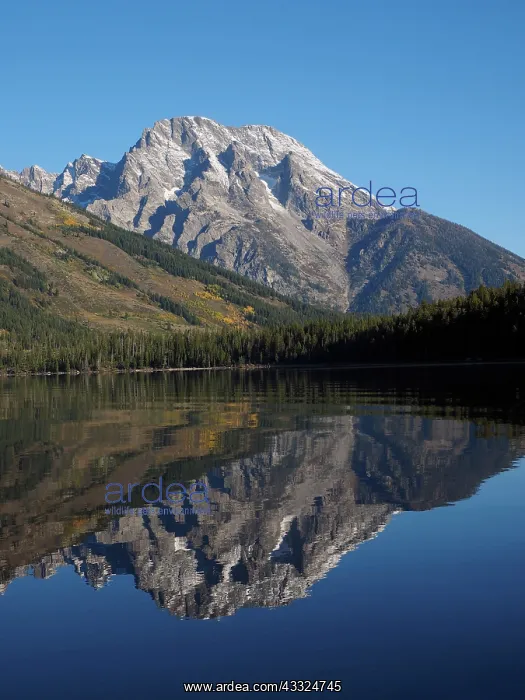 : 80184750 Jenny Lake - Grand Teton in background : 80184750 Jenny Lake - Grand Teton in background