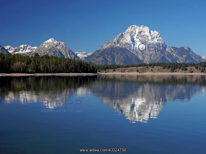 : 80184751 Jackson Lake - Mount Moran in background : 80184751 Jackson Lake - Mount Moran in background
