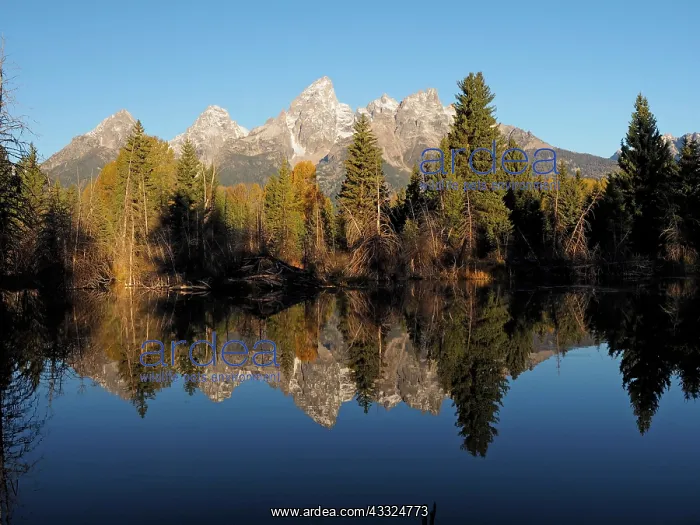 : 80184755 Grand Teton view at Schwabacher Landing : 80184755 Grand Teton view at Schwabacher Landing