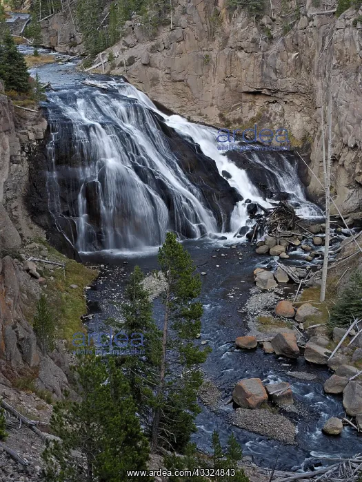 : 80184766 Gibbon falls Yellowstone National Park : 80184766 Gibbon falls Yellowstone National Park