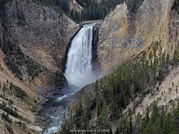: 80184767 Lower Yellowstone River Falls, Grand Canyon : 80184767 Lower Yellowstone River Falls, Grand Canyon