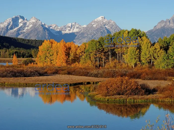: 80184778 Oxbow Bend - landscape in autumn colour : 80184778 Oxbow Bend - landscape in autumn colour
