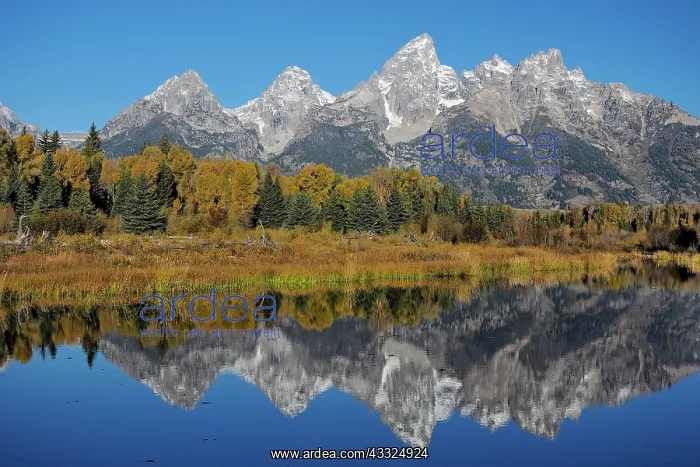 : 80184779 Grand Teton Range - Schwabacher Landing : 80184779 Grand Teton Range - Schwabacher Landing