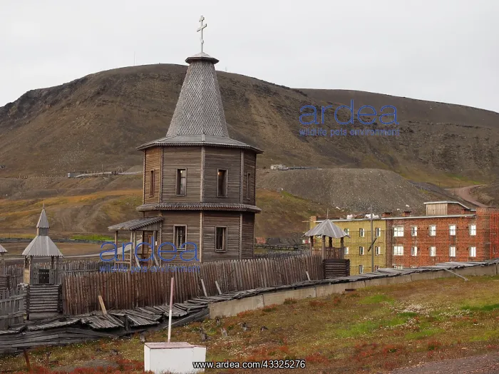 : 80184821 Barentsburg Town Svalbard, Norway Stefan : 80184821 Barentsburg Town Svalbard, Norway Stefan
