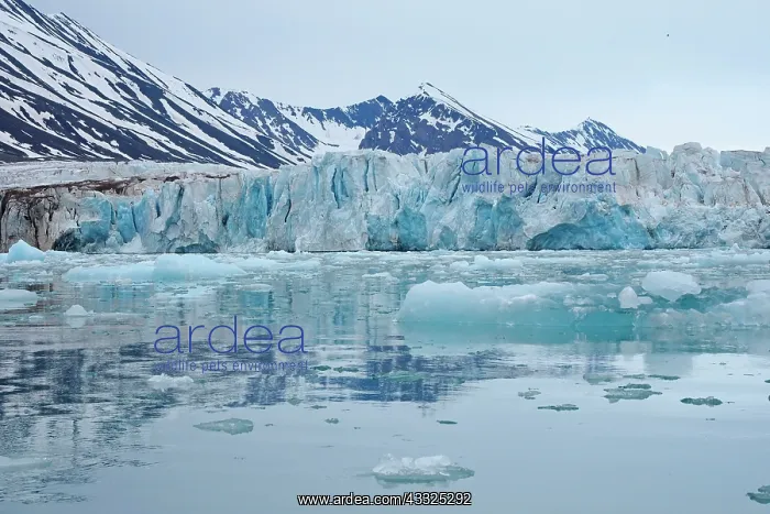 : 80184823 Monacobreen Glacier Svalbard, Norway Stefan : 80184823 Monacobreen Glacier Svalbard, Norway Stefan