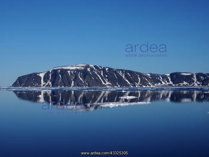 : 80184825 Fjord Landscape Svalbard, Norway Stefan : 80184825 Fjord Landscape Svalbard, Norway Stefan