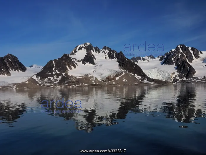  : 80184827 Fjord Landscape Svalbard, Norway Stefan