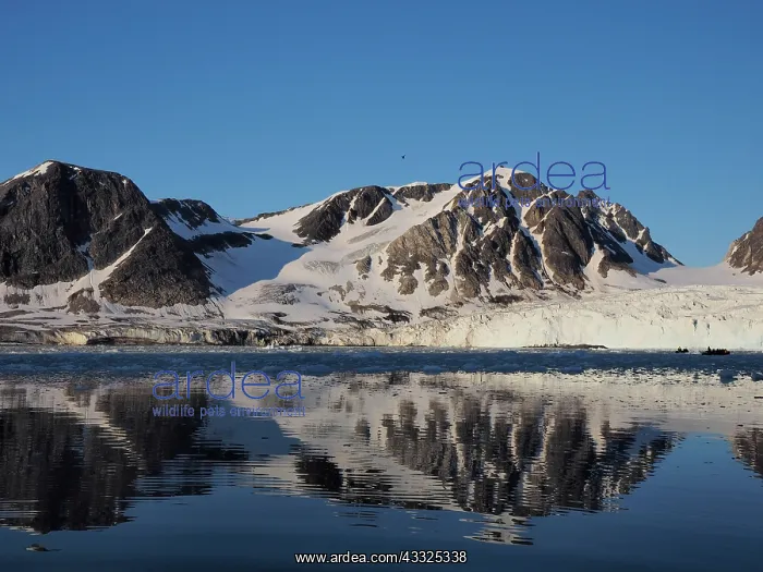  : 80184830 Storbreen Glacier Svalbard, Norway Stefan