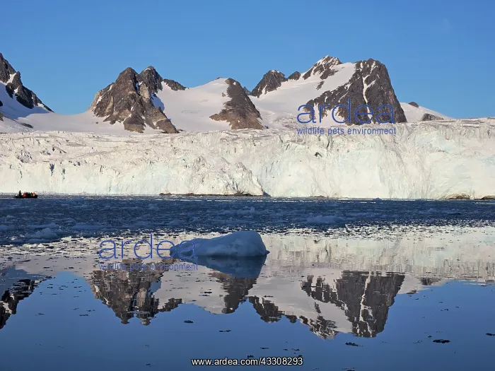 : 80184831 Storbreen Glacier Svalbard, Norway Stefan : 80184831 Storbreen Glacier Svalbard, Norway Stefan