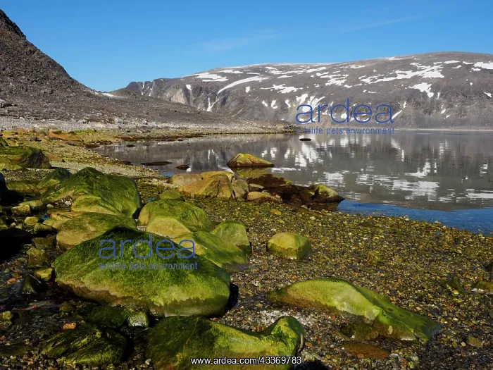 : 80184832 Virgohamna Svalbard, Norway Stefan Meyers : 80184832 Virgohamna Svalbard, Norway Stefan Meyers