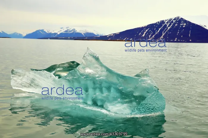 : 80184839 Drifting block of ice at the coast Svalbard : 80184839 Drifting block of ice at the coast Svalbard