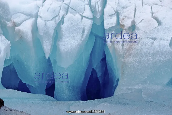 : 80184840 Iceberg at Ericbreenglacier Svalbard, Norway : 80184840 Iceberg at Ericbreenglacier Svalbard, Norway