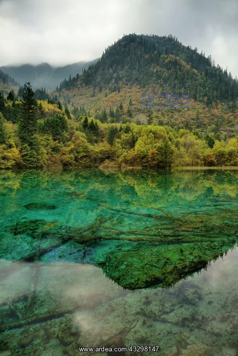 : 80185283 Multi-coloured Lake Jiuzhaigou National : 80185283 Multi-coloured Lake Jiuzhaigou National