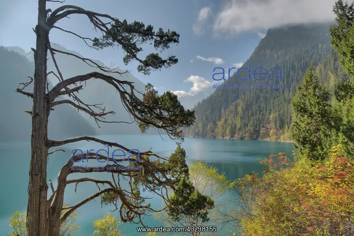 : 80185284 Long Lake Jiuzhaigou National Park, Sichuan : 80185284 Long Lake Jiuzhaigou National Park, Sichuan