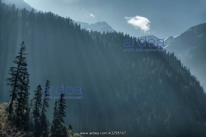 : 80185285 Long Lake Jiuzhaigou National Park, Sichuan : 80185285 Long Lake Jiuzhaigou National Park, Sichuan