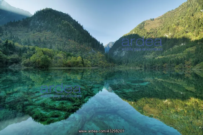 : 80185288 Multi-coloured Lake Jiuzhaigou National : 80185288 Multi-coloured Lake Jiuzhaigou National