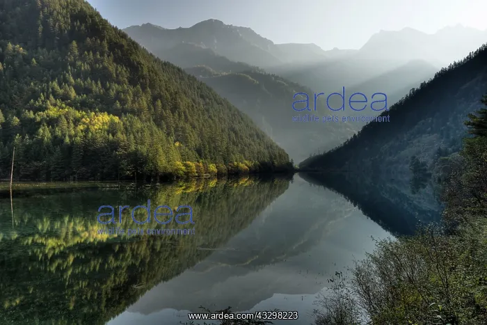 : 80185290 Mirror Lake Jiuzhaigou National Park, Sichuan : 80185290 Mirror Lake Jiuzhaigou National Park, Sichuan
