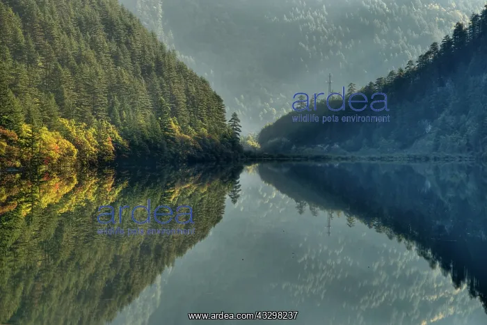 : 80185291 Mirror Lake Jiuzhaigou National Park, Sichuan : 80185291 Mirror Lake Jiuzhaigou National Park, Sichuan