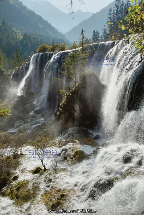 : 80185294 Pearl Shoal Waterfall Jiuzhaigou National : 80185294 Pearl Shoal Waterfall Jiuzhaigou National