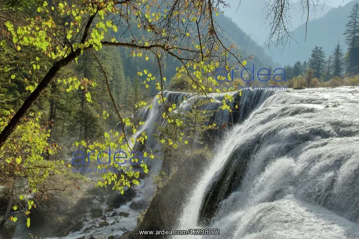 : 80185295 Pearl Shoal Waterfall Jiuzhaigou National : 80185295 Pearl Shoal Waterfall Jiuzhaigou National