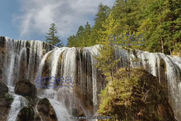 : 80185296 Pearl Shoal Waterfall Jiuzhaigou National : 80185296 Pearl Shoal Waterfall Jiuzhaigou National