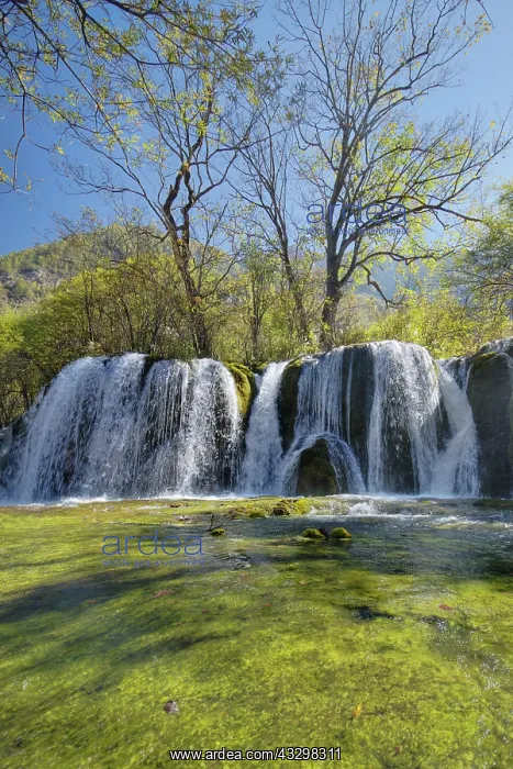 : 80185299 Shuzheng Waterfalls Jiuzhaigou National : 80185299 Shuzheng Waterfalls Jiuzhaigou National