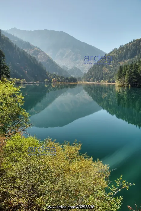 : 80185301 Bamboo Arrow Lake Jiuzhaigou National Park : 80185301 Bamboo Arrow Lake Jiuzhaigou National Park